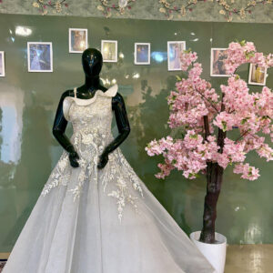 ivory enchantress ball gown